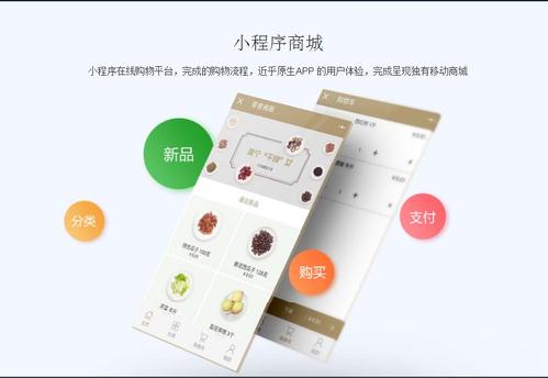 微信商城小程序上線后，如何運用技術手段高效推廣產(chǎn)品